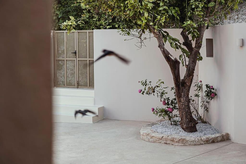 הוילה Agia Fotini  Lotusland, A Relaxing House At Amari Rethymno מראה חיצוני תמונה